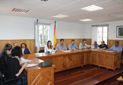 O Pleno pide por unanimidade a integración de Frades no sistema de transporte metropolitano das áreas de Santiago e A Coruña